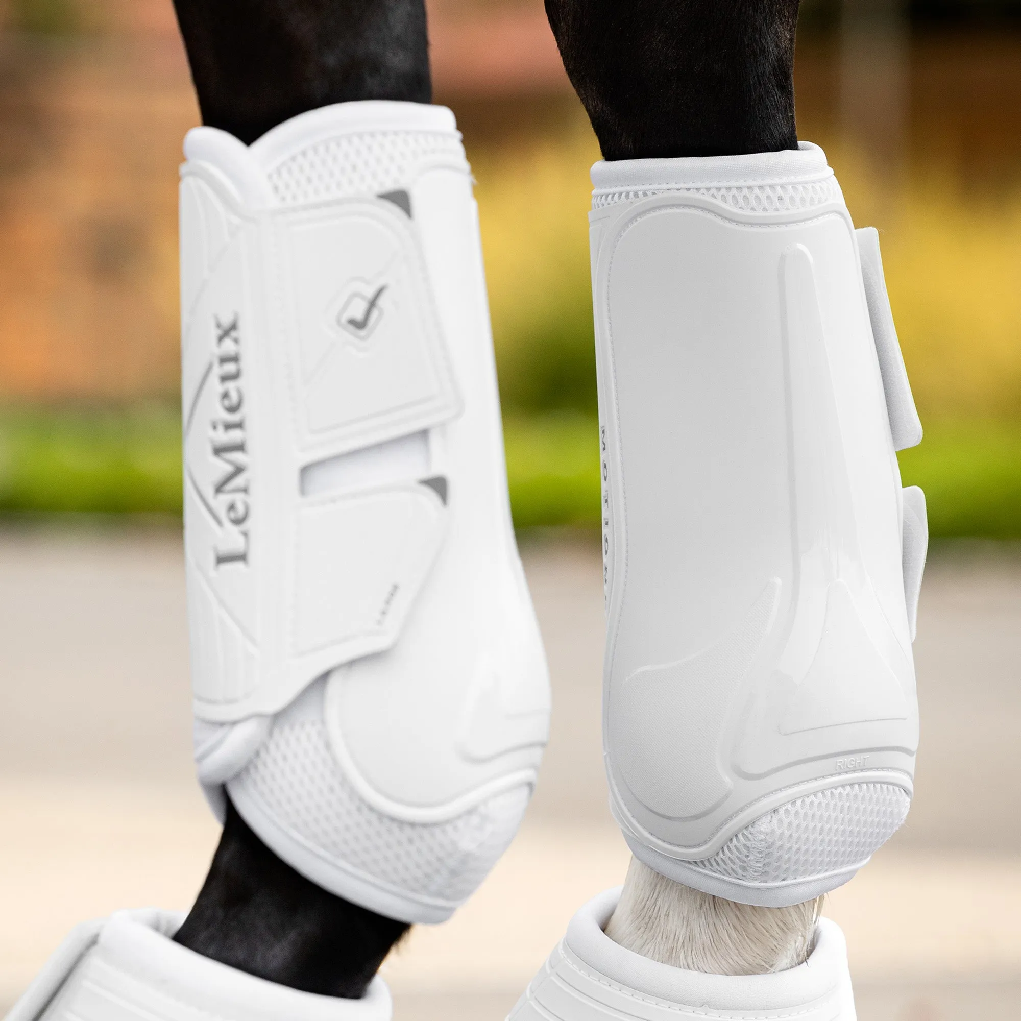 Lemieux Motionflex Dressage Boot