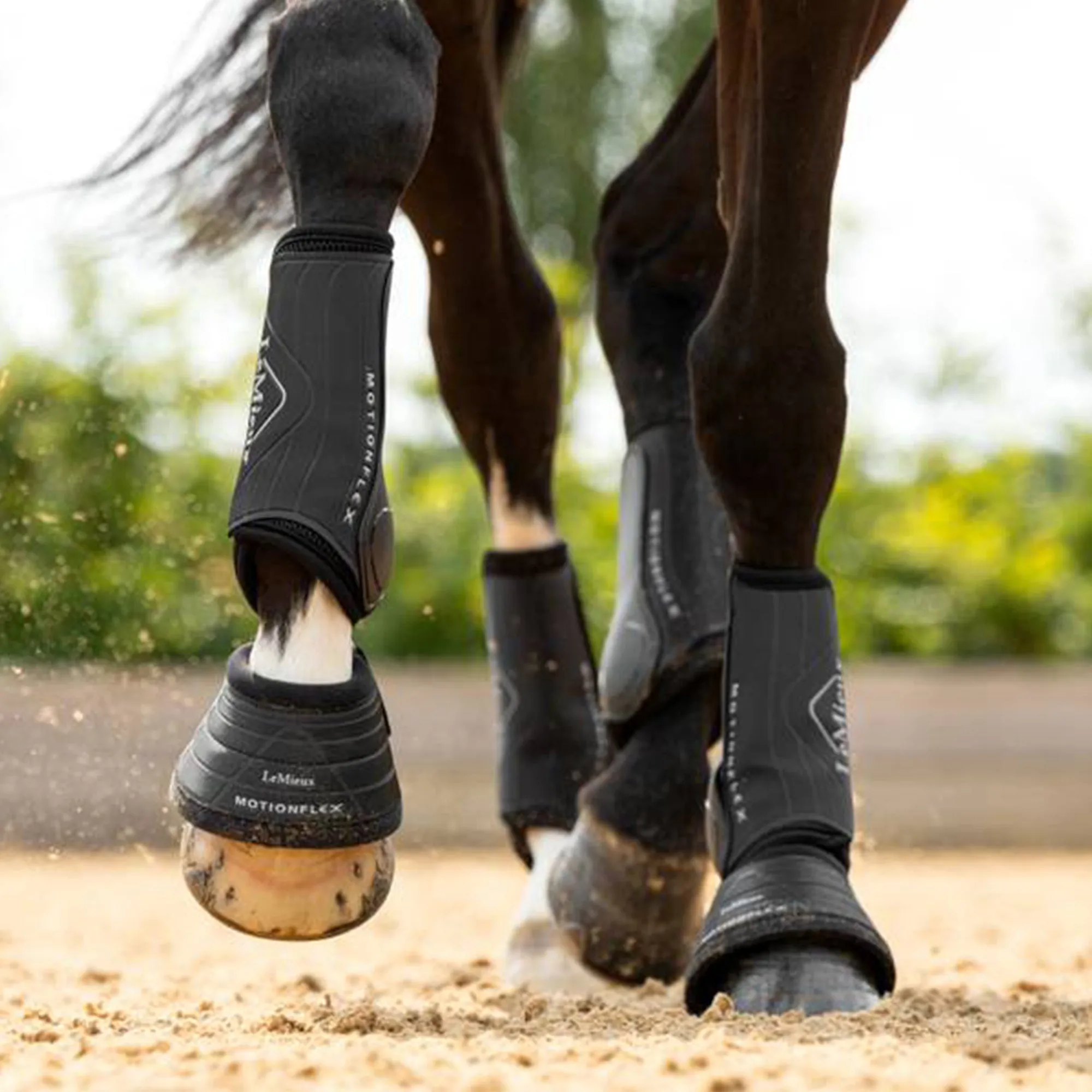 Lemieux Motionflex Dressage Boot